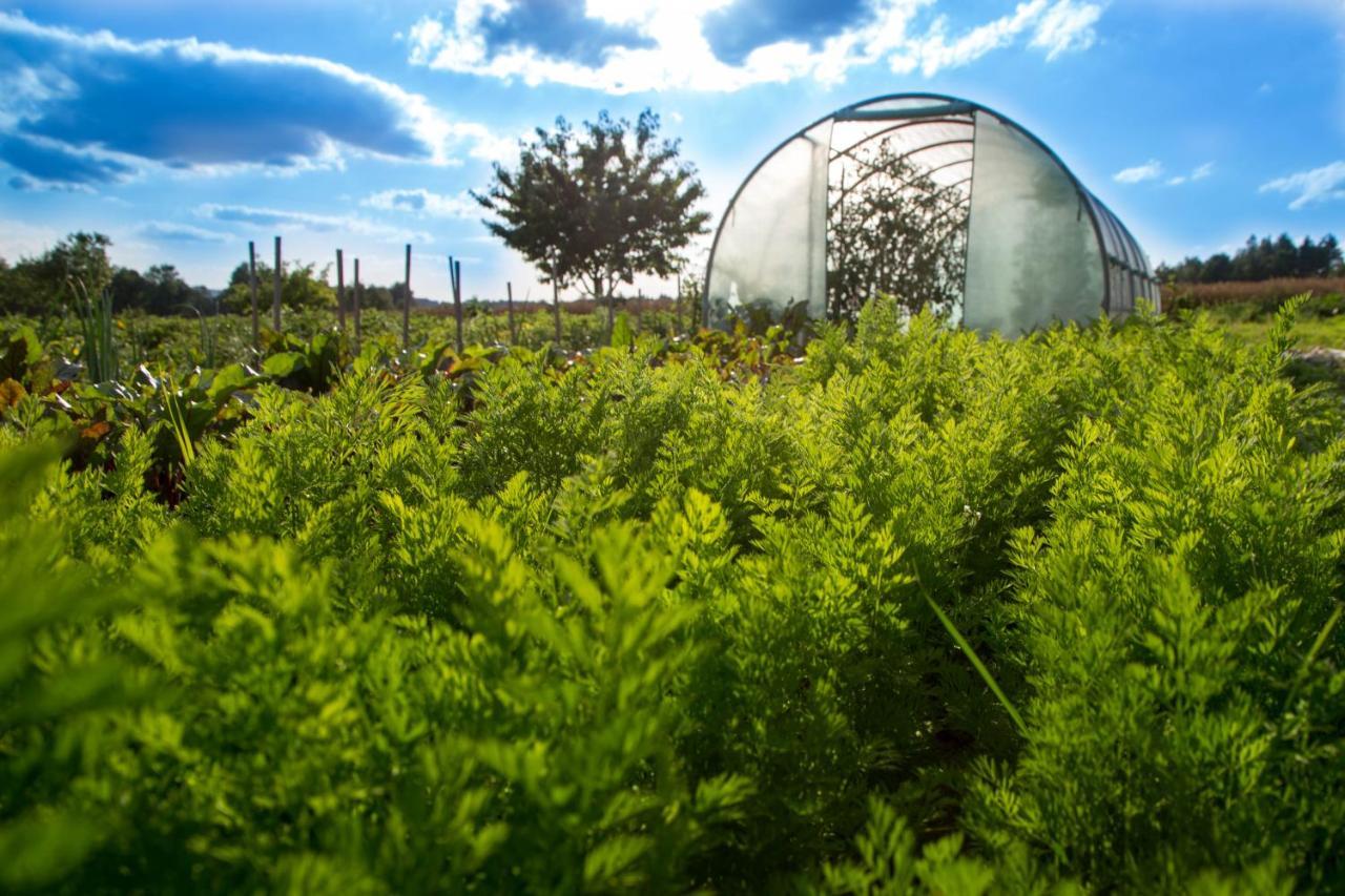 Agroturystyka Sikorki Lubomierz  Bagian luar foto