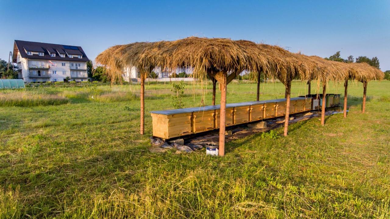Agroturystyka Sikorki Lubomierz  Bagian luar foto